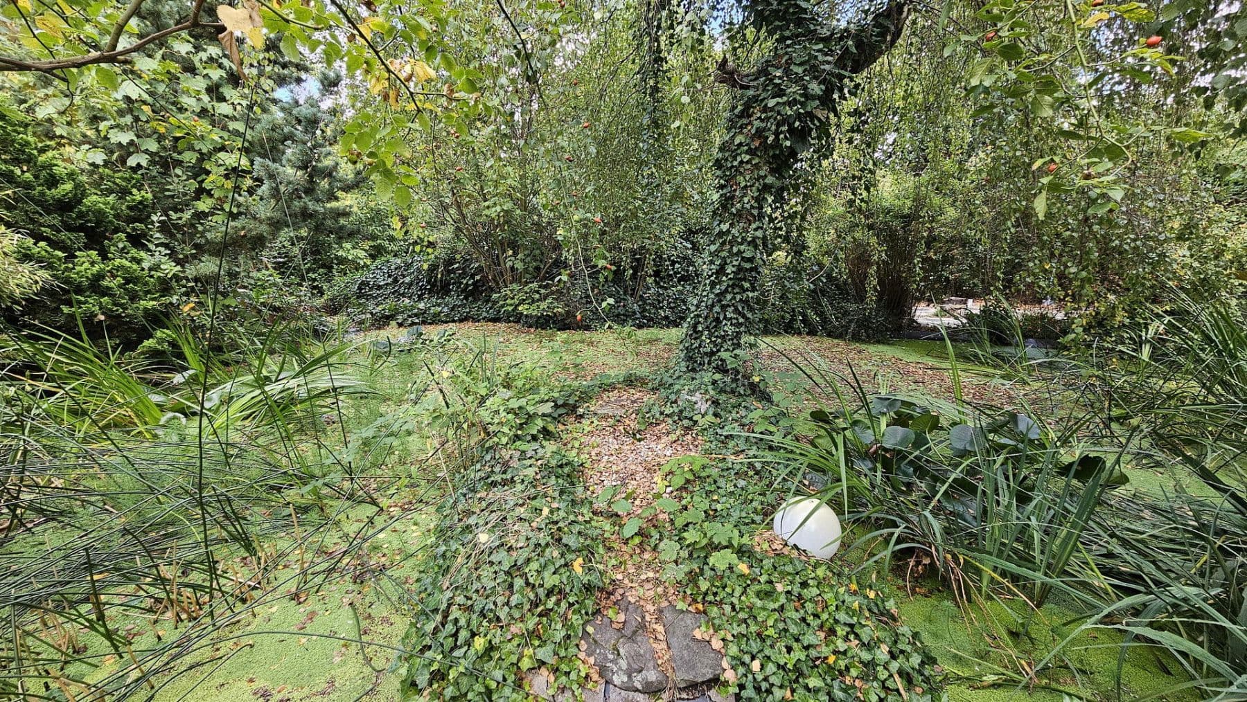 Predaj domu 230 m², pozemek 1.200 m², An der Feuerwache 1a, Troisdorf, Severné Porýnie - Westfálsko Predaj domu 230 m², pozemek 1.200 m², An der Feuerwache 1a, Troisdorf, Severné Porýnie - Westfálsko