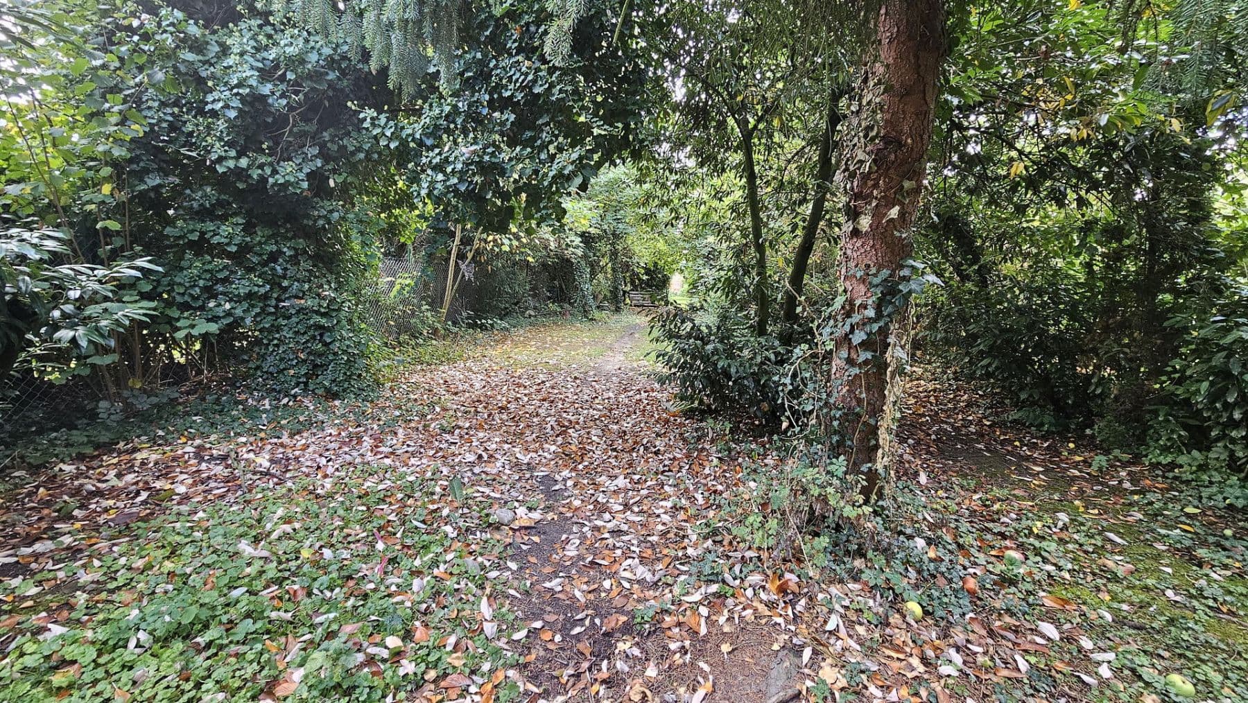 Predaj domu 230 m², pozemek 1.200 m², An der Feuerwache 1a, Troisdorf, Severné Porýnie - Westfálsko Predaj domu 230 m², pozemek 1.200 m², An der Feuerwache 1a, Troisdorf, Severné Porýnie - Westfálsko