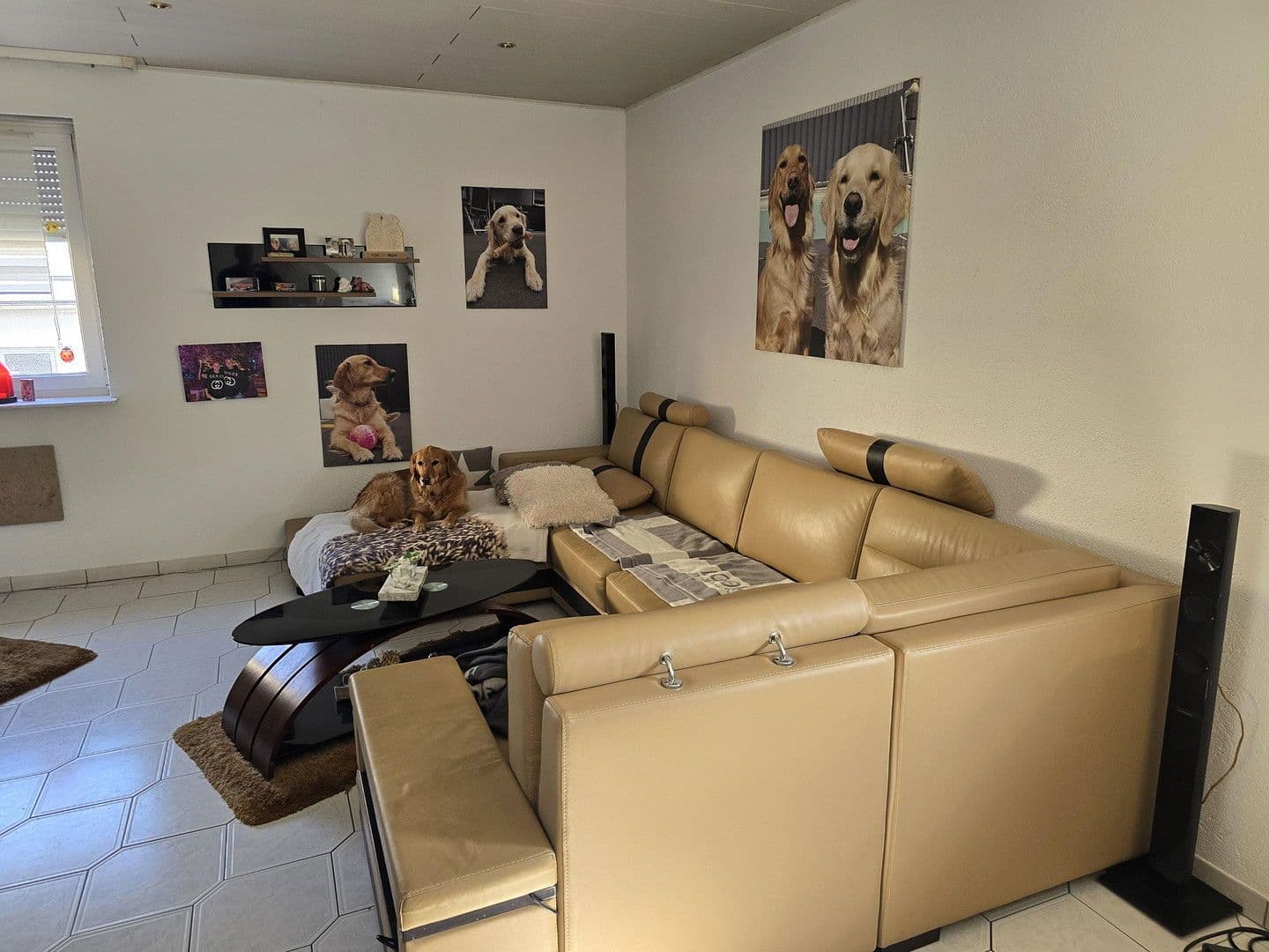 Predaj bytu 604 m², Saarbrücken, Sársko Predaj bytu 604 m², Saarbrücken, Sársko