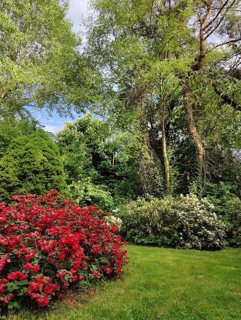 Predaj domu 174 m², pozemek 16.759 m², Olzheim, Porýnie-Falcko Predaj domu 174 m², pozemek 16.759 m², Olzheim, Porýnie-Falcko