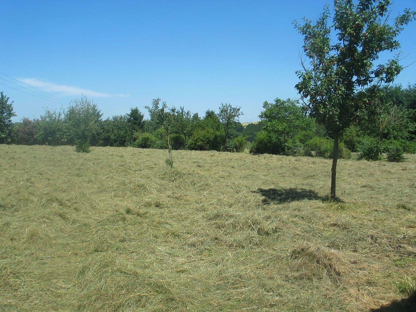 Predaj domu 174 m², pozemek 16.759 m², Olzheim, Porýnie-Falcko Predaj domu 174 m², pozemek 16.759 m², Olzheim, Porýnie-Falcko