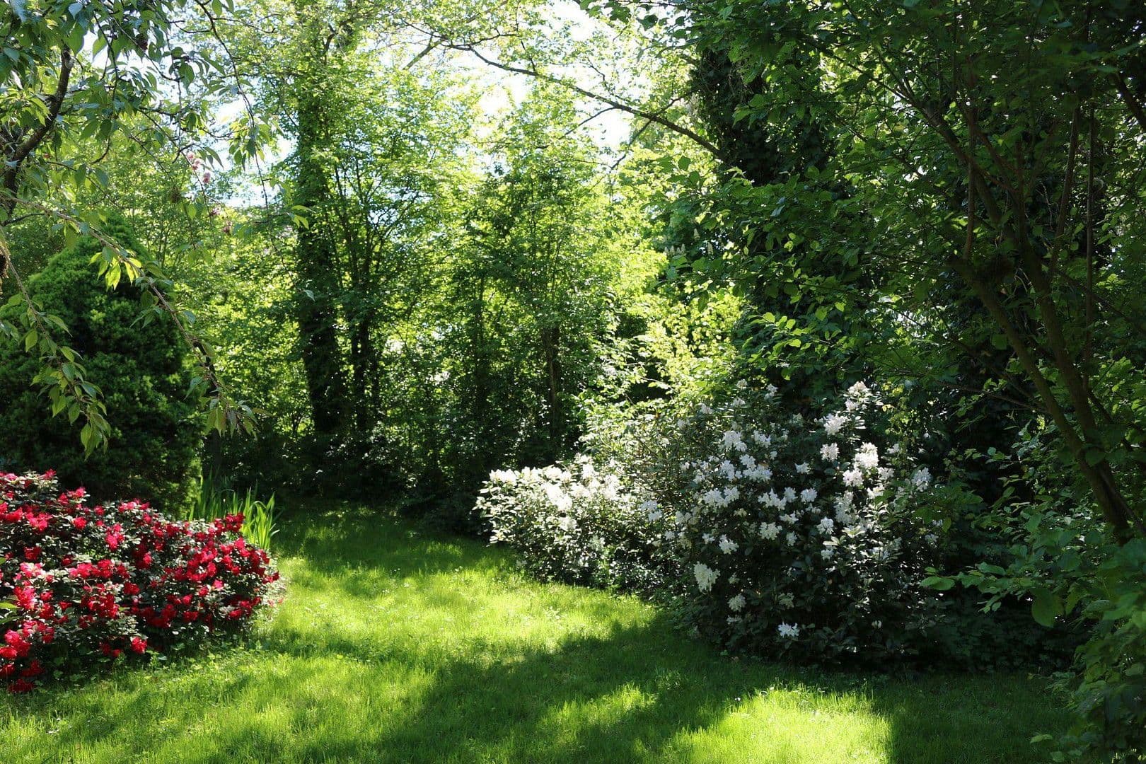 Predaj domu 174 m², pozemek 16.759 m², Olzheim, Porýnie-Falcko Predaj domu 174 m², pozemek 16.759 m², Olzheim, Porýnie-Falcko