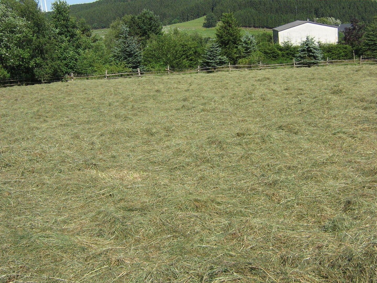 Predaj domu 174 m², pozemek 16.759 m², Olzheim, Porýnie-Falcko Predaj domu 174 m², pozemek 16.759 m², Olzheim, Porýnie-Falcko