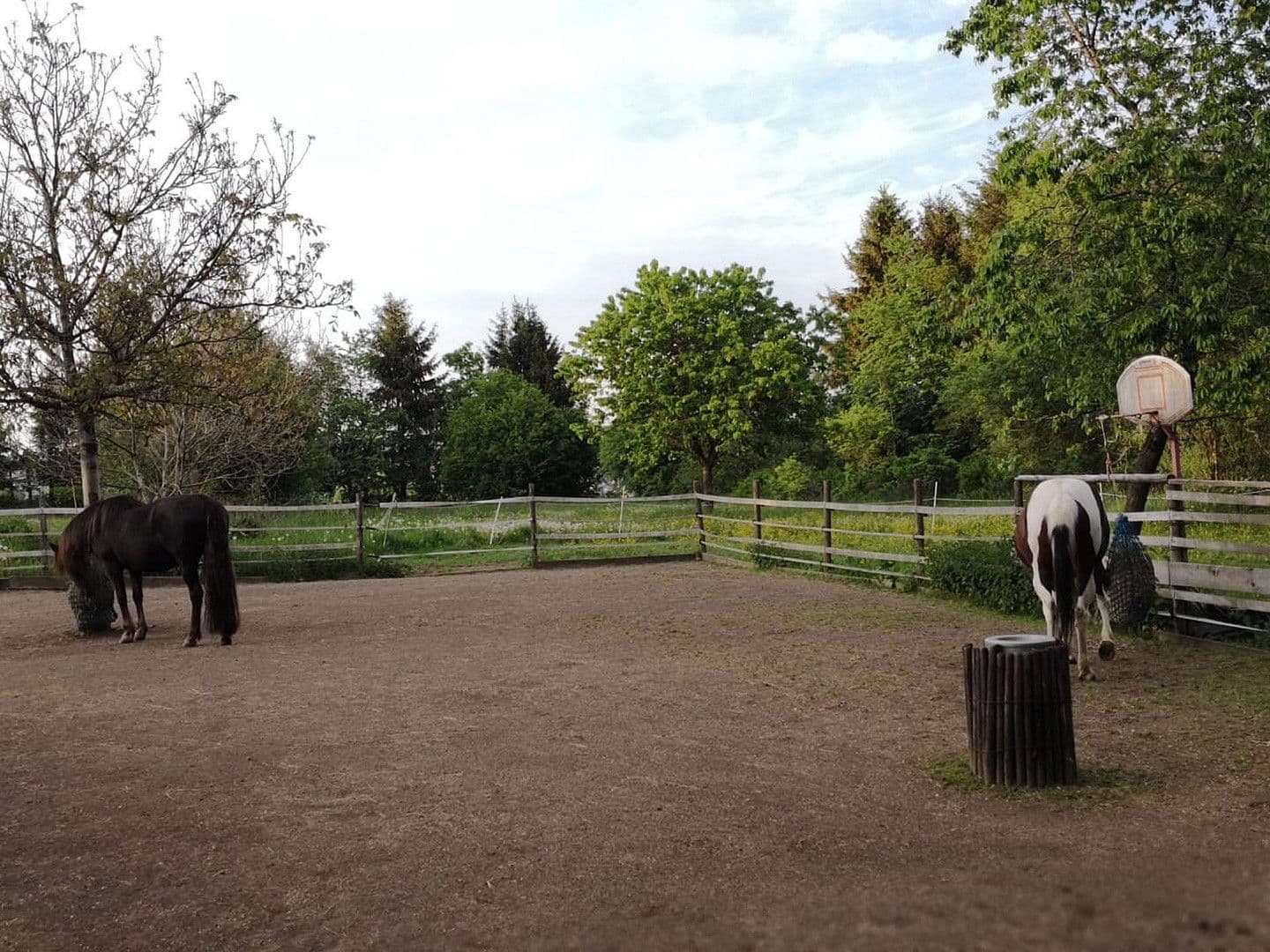 Predaj domu 174 m², pozemek 16.759 m², Olzheim, Porýnie-Falcko Predaj domu 174 m², pozemek 16.759 m², Olzheim, Porýnie-Falcko