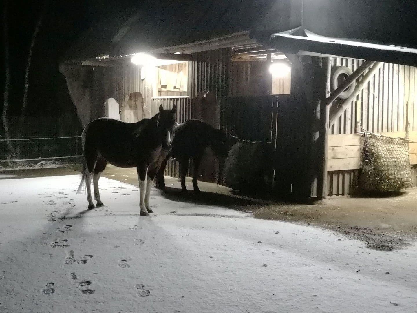 Predaj domu 174 m², pozemek 16.759 m², Olzheim, Porýnie-Falcko Predaj domu 174 m², pozemek 16.759 m², Olzheim, Porýnie-Falcko