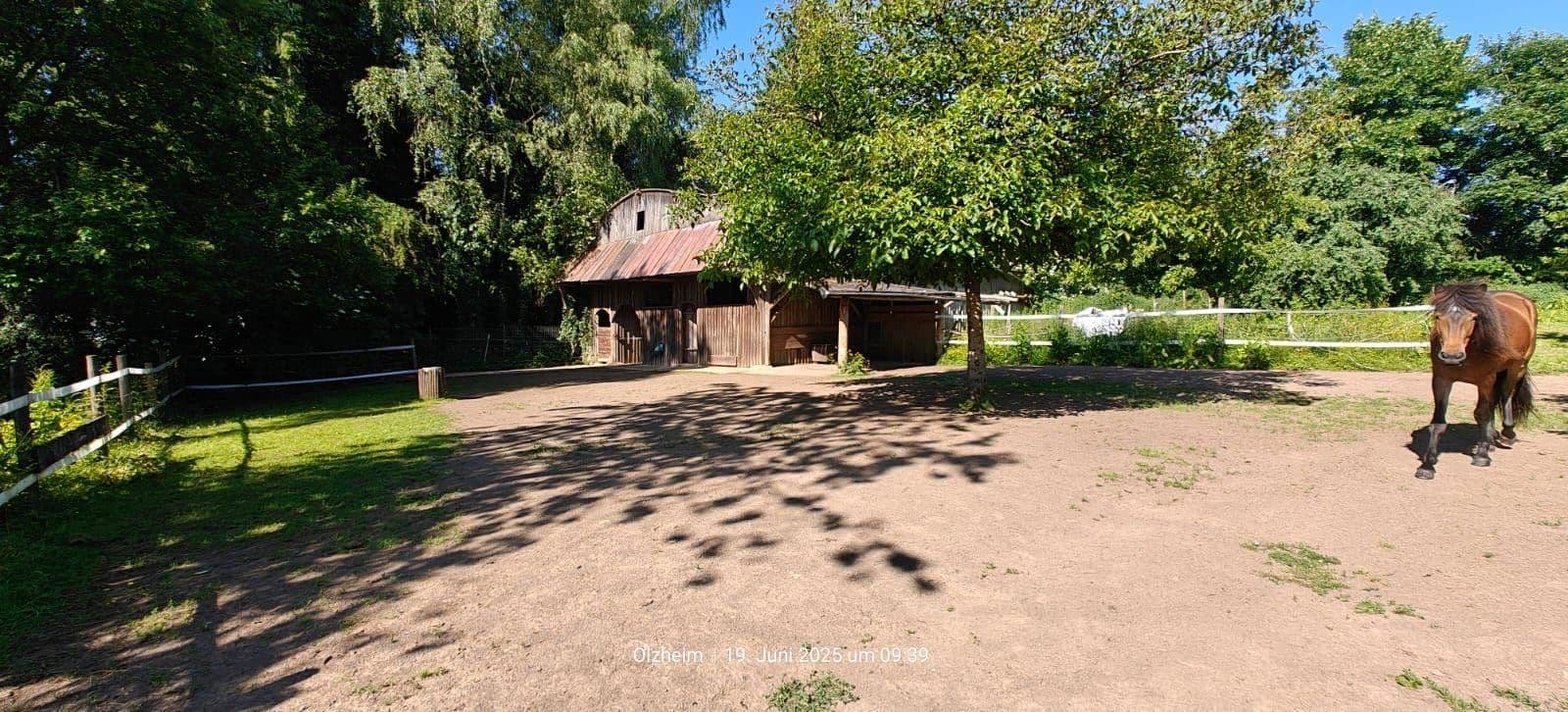 Predaj domu 174 m², pozemek 16.759 m², Olzheim, Porýnie-Falcko Predaj domu 174 m², pozemek 16.759 m², Olzheim, Porýnie-Falcko