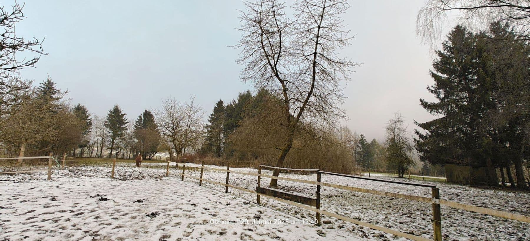 Predaj domu 174 m², pozemek 16.759 m², Olzheim, Porýnie-Falcko Predaj domu 174 m², pozemek 16.759 m², Olzheim, Porýnie-Falcko