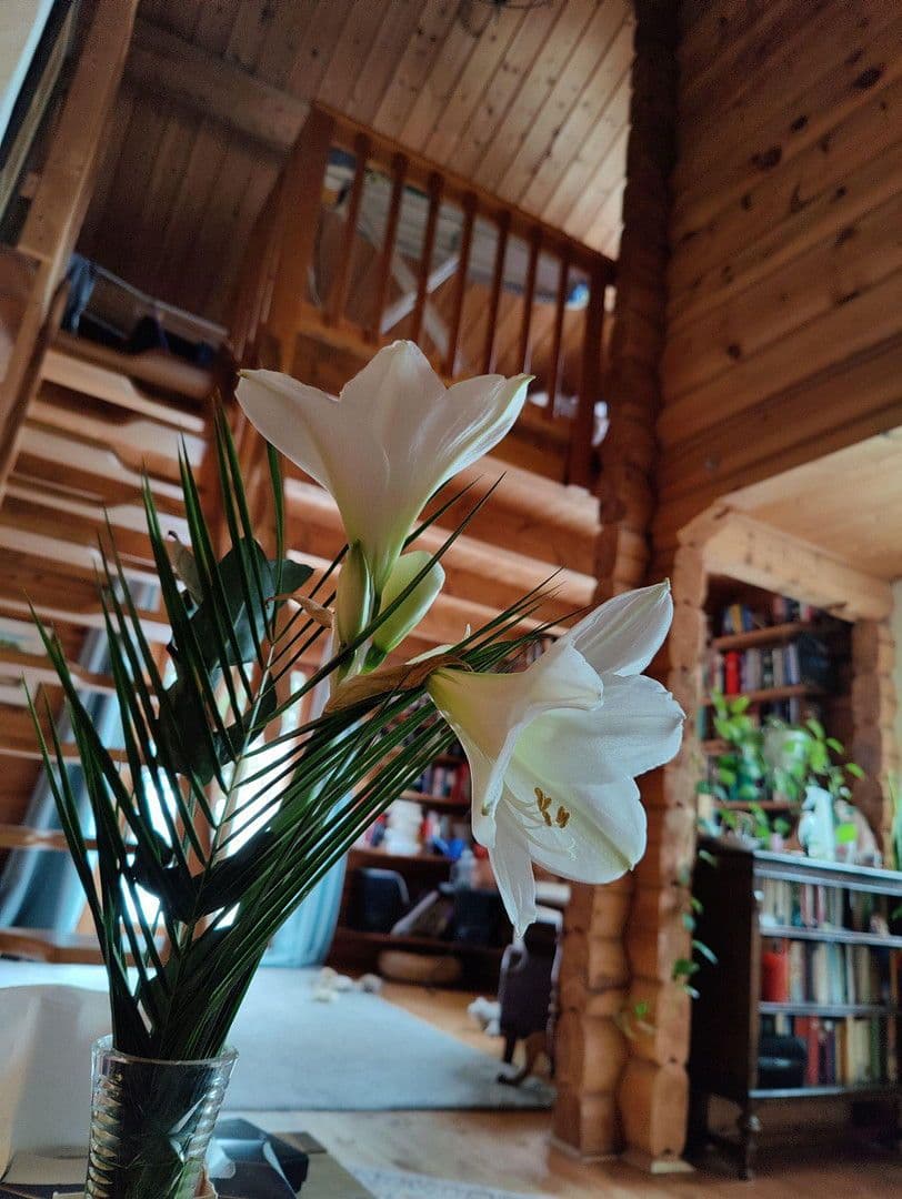 Predaj domu 174 m², pozemek 16.759 m², Olzheim, Porýnie-Falcko Predaj domu 174 m², pozemek 16.759 m², Olzheim, Porýnie-Falcko