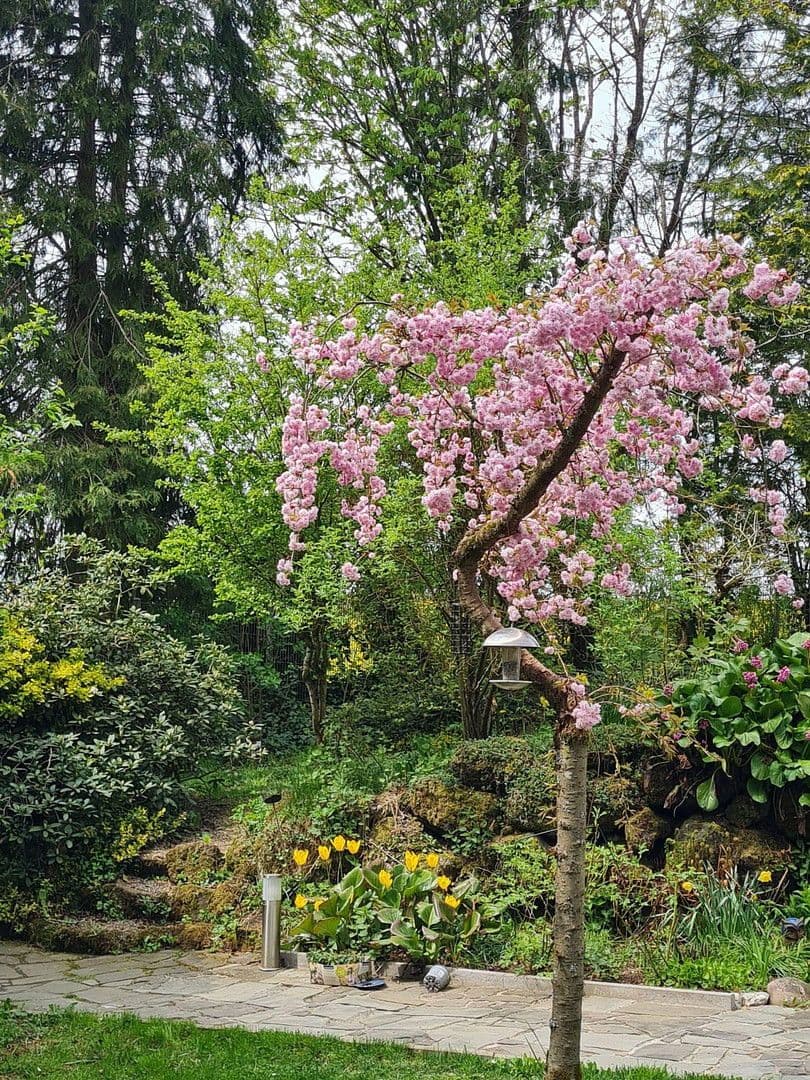 Predaj domu 174 m², pozemek 16.759 m², Olzheim, Porýnie-Falcko Predaj domu 174 m², pozemek 16.759 m², Olzheim, Porýnie-Falcko