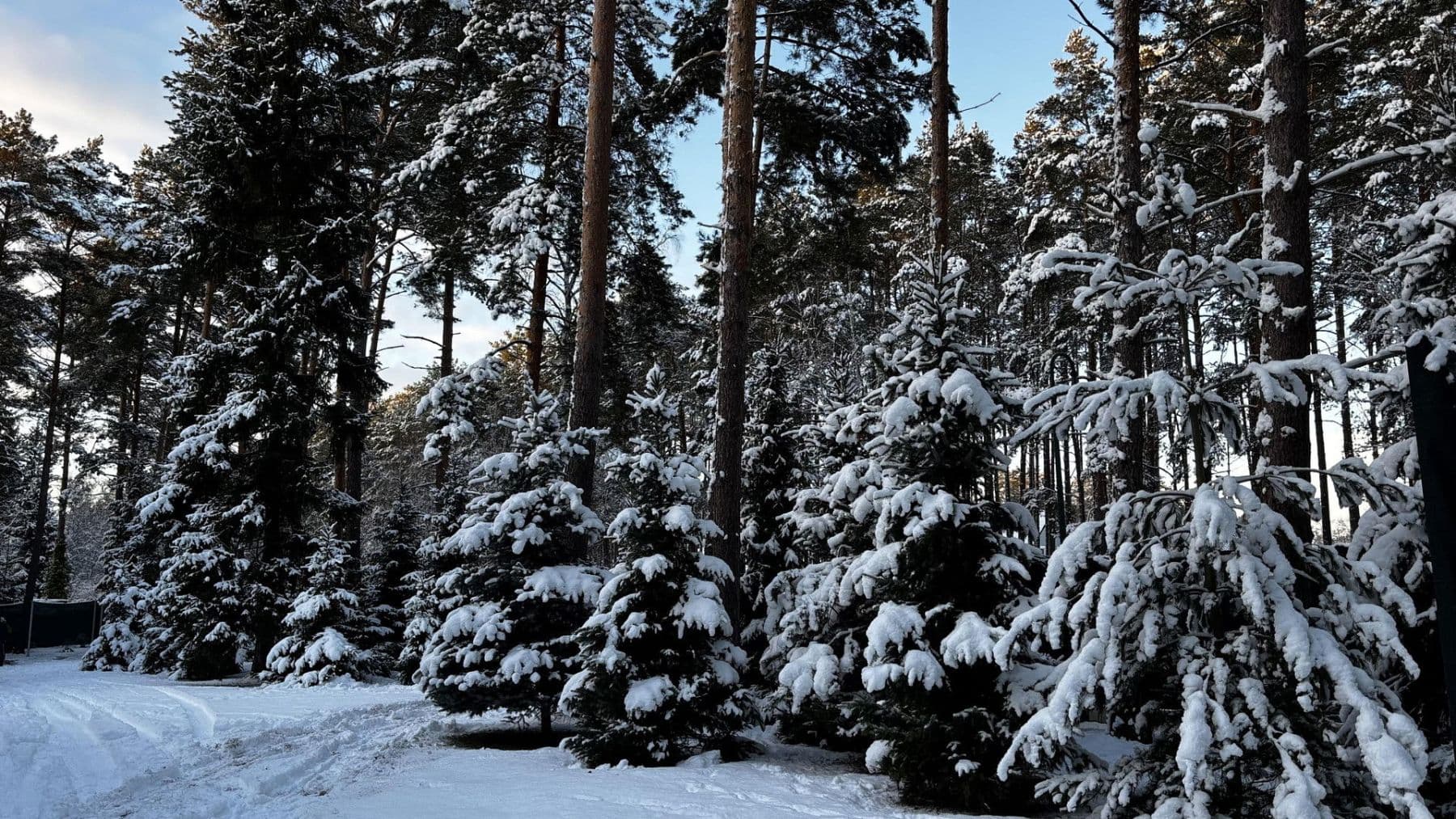 Predaj domu 368 m², pozemek 2.818 m², Borkwalde, Brandenbursko Predaj domu 368 m², pozemek 2.818 m², Borkwalde, Brandenbursko