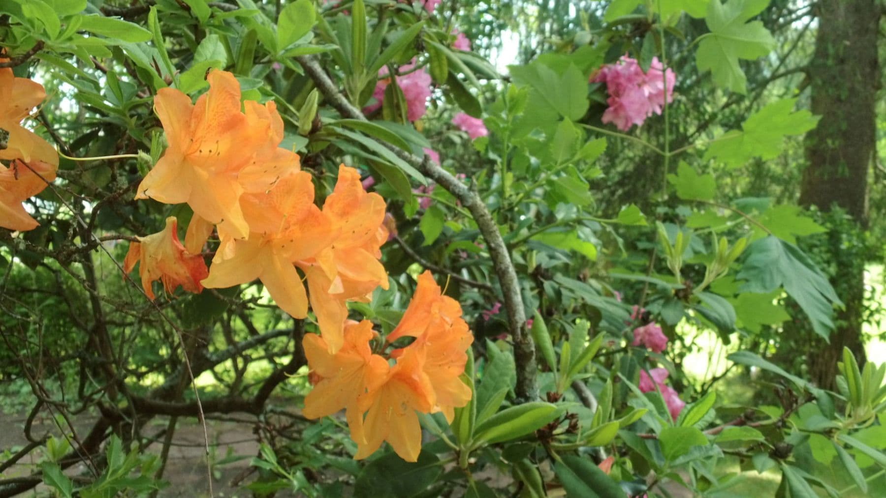 Prenájom bytu 3-izbový 119 m², Schwimmbadstraße 7, Bad Herrenalb, Bádensko-Wurttembersko Prenájom bytu 3-izbový 119 m², Schwimmbadstraße 7, Bad Herrenalb, Bádensko-Wurttembersko