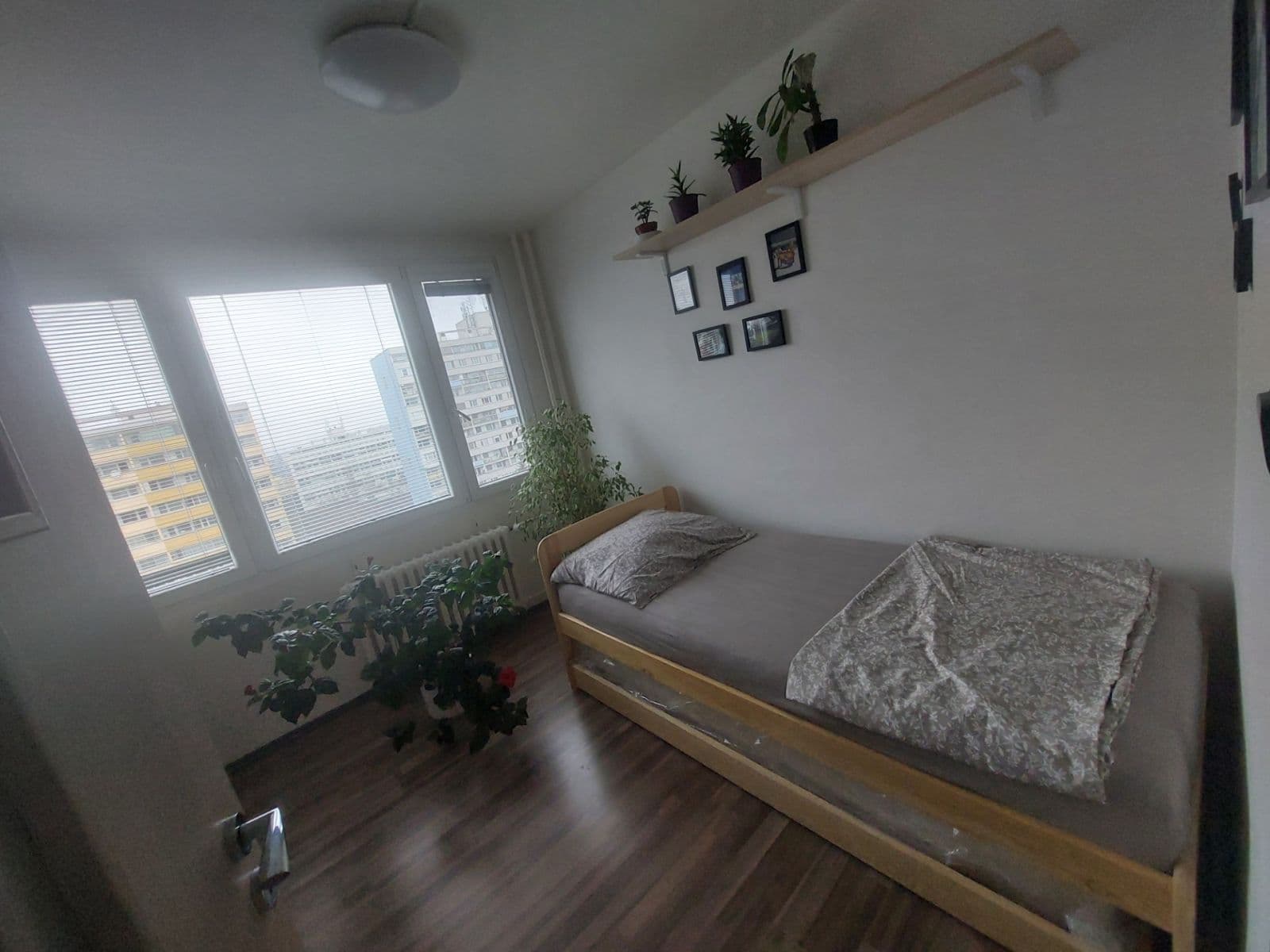 Prenájom bytu 3-izbový 62 m², Sládkovičova, Praha, Praha Prenájom bytu 3-izbový 62 m², Sládkovičova, Praha, Praha