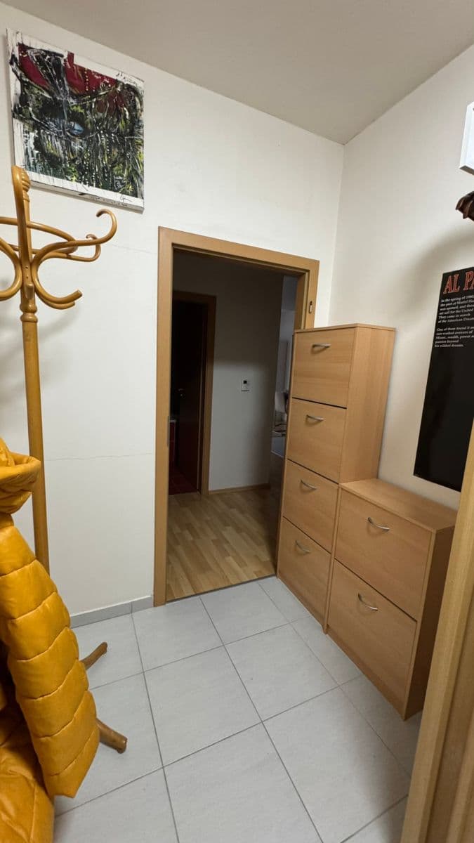 Prenájom bytu 2-izbový 50 m², U Leskavy, Brno, Jihomoravský kraj Prenájom bytu 2-izbový 50 m², U Leskavy, Brno, Jihomoravský kraj