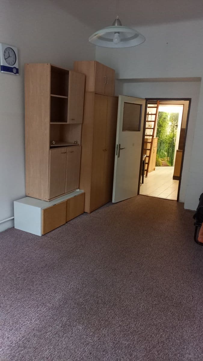 Prenájom bytu 1-izbový 36 m², Plzeňská, Praha, Praha Prenájom bytu 1-izbový 36 m², Plzeňská, Praha, Praha