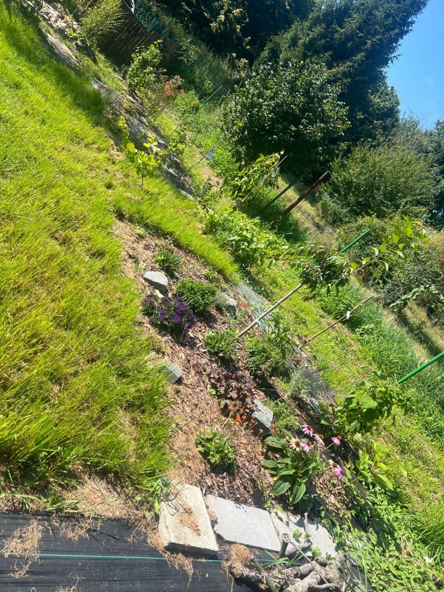 Predaj pozemku 936 m², Doubrava, Moravskoslezský kraj Predaj pozemku 936 m², Doubrava, Moravskoslezský kraj