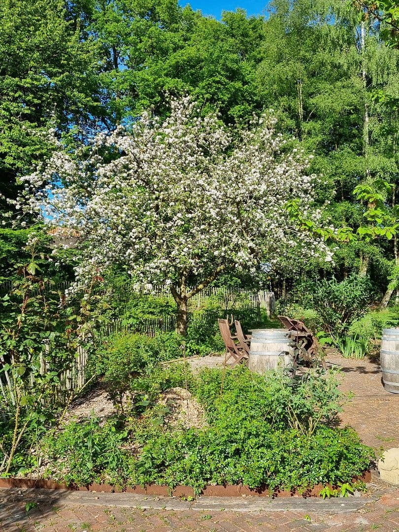 Predaj domu 260 m², pozemek 4.487 m², Oldenburg (Oldb), Dolné Sasko Predaj domu 260 m², pozemek 4.487 m², Oldenburg (Oldb), Dolné Sasko