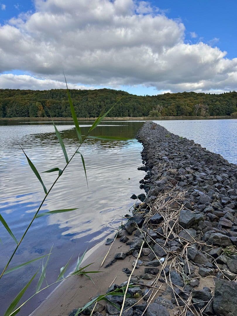 Prenájom domu 134 m², pozemek 1.484 m², Elbuferstraße 51, Tespe, Dolné Sasko Prenájom domu 134 m², pozemek 1.484 m², Elbuferstraße 51, Tespe, Dolné Sasko