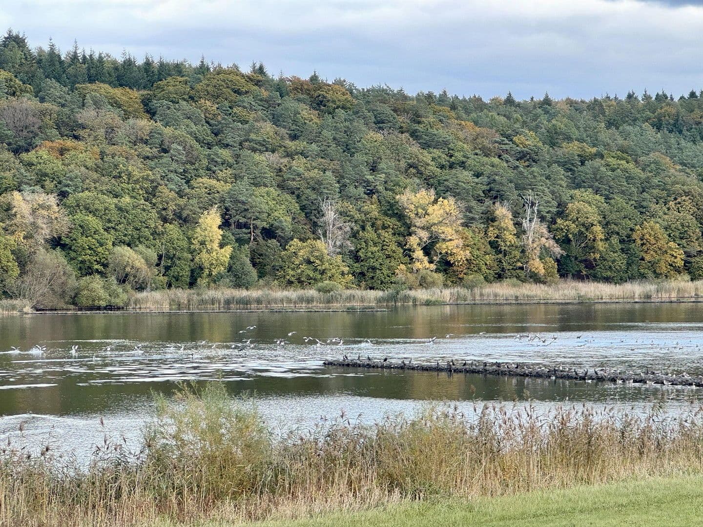 Prenájom domu 134 m², pozemek 1.484 m², Elbuferstraße 51, Tespe, Dolné Sasko Prenájom domu 134 m², pozemek 1.484 m², Elbuferstraße 51, Tespe, Dolné Sasko