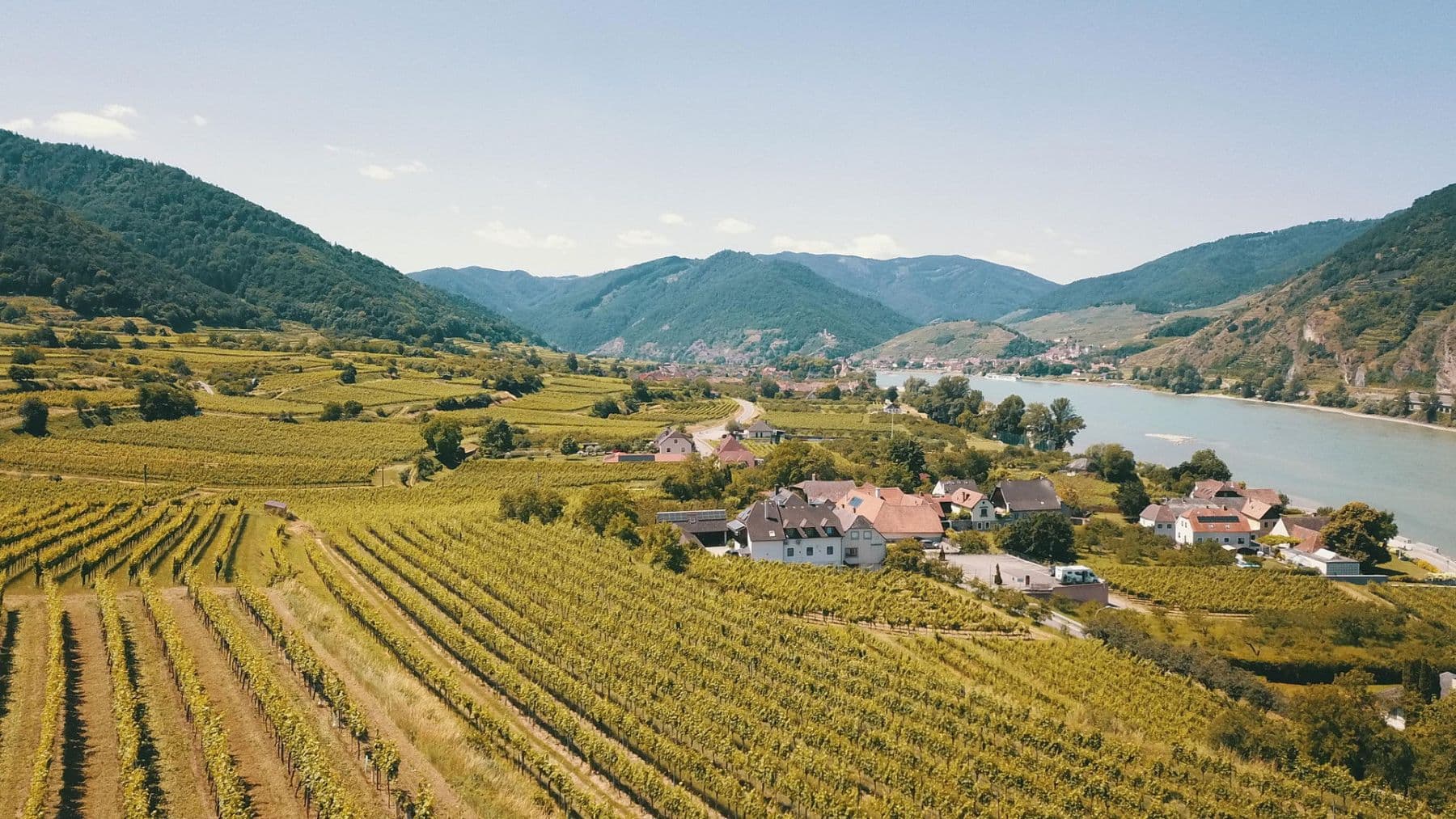 Predaj pozemku 3.596 m², Mitterarnsdorf, Dolné Rakúsko Predaj pozemku 3.596 m², Mitterarnsdorf, Dolné Rakúsko