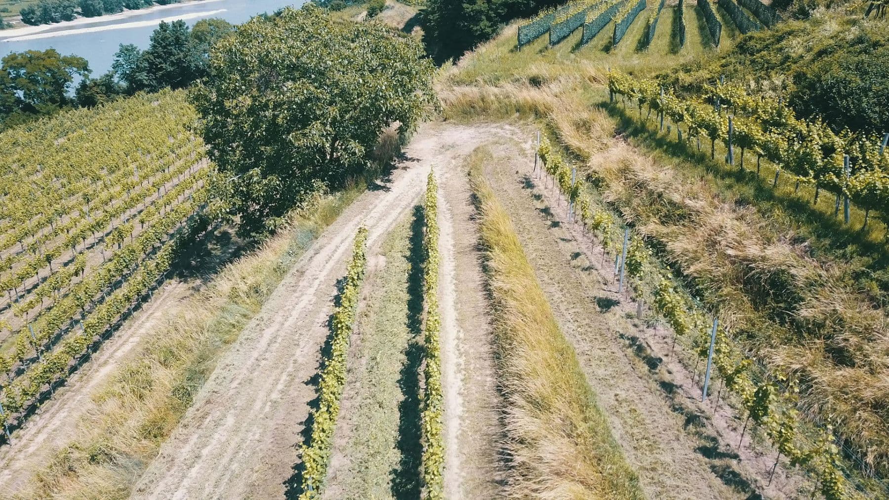 Predaj pozemku 3.596 m², Mitterarnsdorf, Dolné Rakúsko Predaj pozemku 3.596 m², Mitterarnsdorf, Dolné Rakúsko