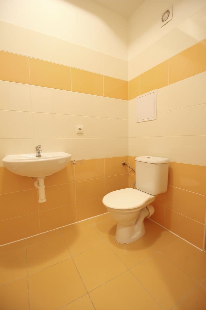 Prenájom bytu 1-izbový 27 m², Otvovice, Středočeský kraj Prenájom bytu 1-izbový 27 m², Otvovice, Středočeský kraj