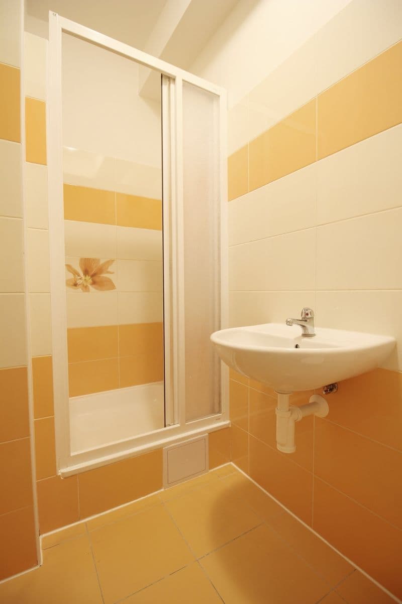 Prenájom bytu 1-izbový 27 m², Otvovice, Středočeský kraj Prenájom bytu 1-izbový 27 m², Otvovice, Středočeský kraj