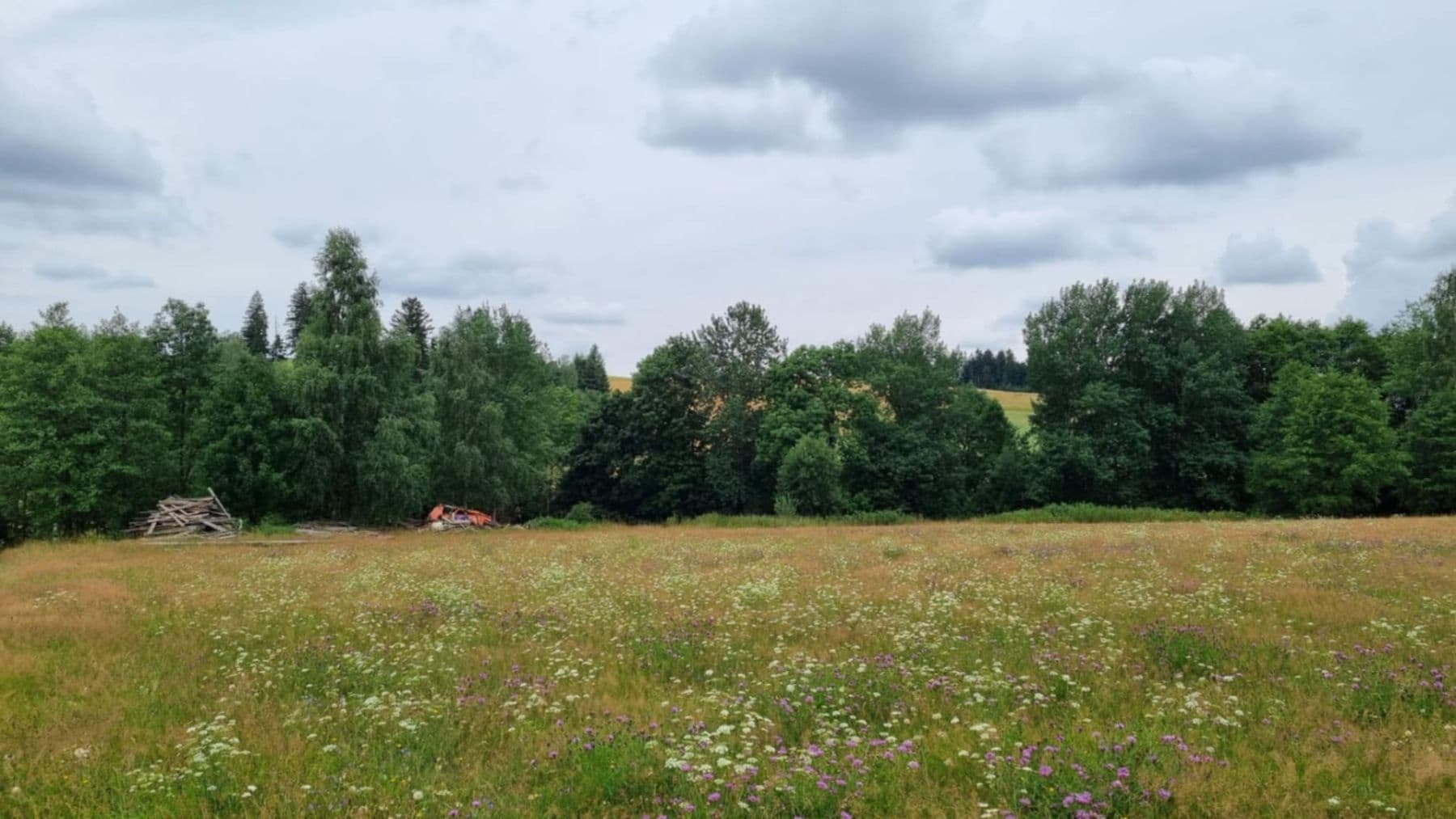 Predaj pozemku 9.989 m², Pěčín, Královéhradecký kraj Predaj pozemku 9.989 m², Pěčín, Královéhradecký kraj