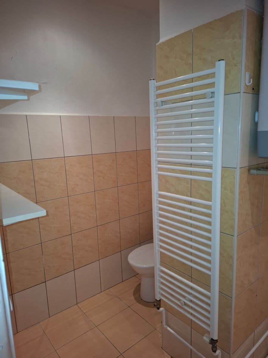 Prenájom bytu 1-izbový 39 m², Zborovské náměstí, Pardubice, Pardubický kraj Prenájom bytu 1-izbový 39 m², Zborovské náměstí, Pardubice, Pardubický kraj