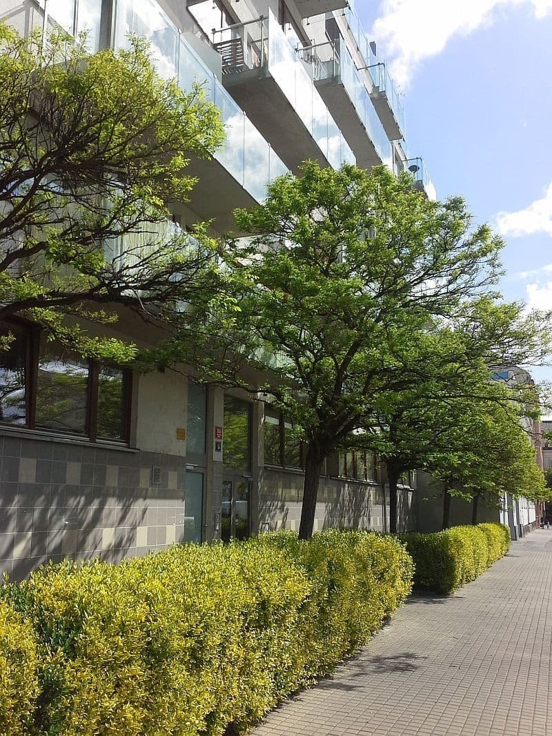 Prenájom bytu 1-izbový 37 m², U Měšťanského pivovaru, Praha, Praha Prenájom bytu 1-izbový 37 m², U Měšťanského pivovaru, Praha, Praha