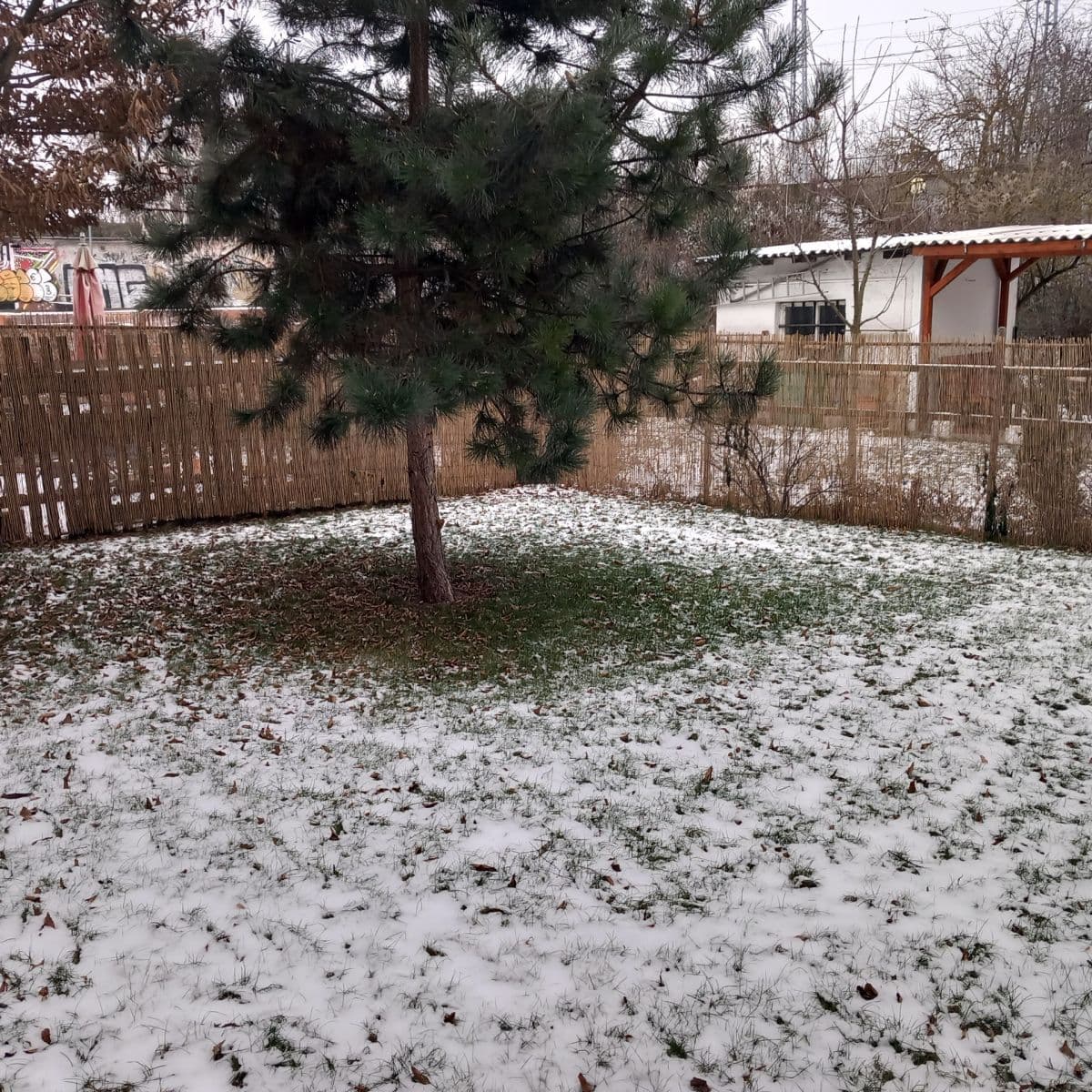 Prenájom bytu 1-izbový 31 m², Stejskalova, Brno, Jihomoravský kraj Prenájom bytu 1-izbový 31 m², Stejskalova, Brno, Jihomoravský kraj