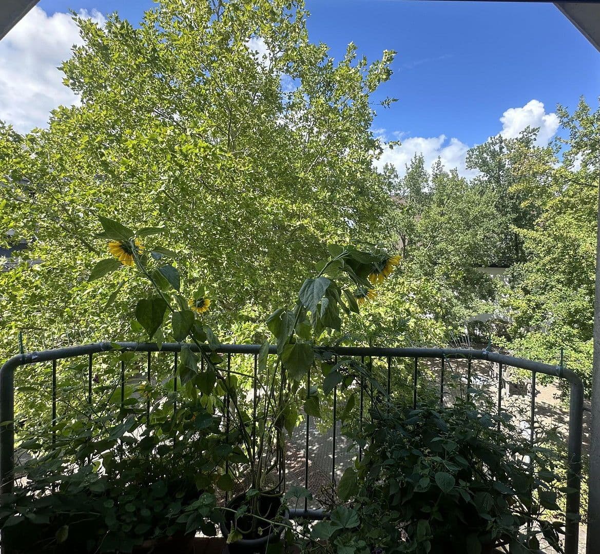 Prenájom bytu 2-izbový 59 m², Kaiserslautern, Porýnie-Falcko Prenájom bytu 2-izbový 59 m², Kaiserslautern, Porýnie-Falcko