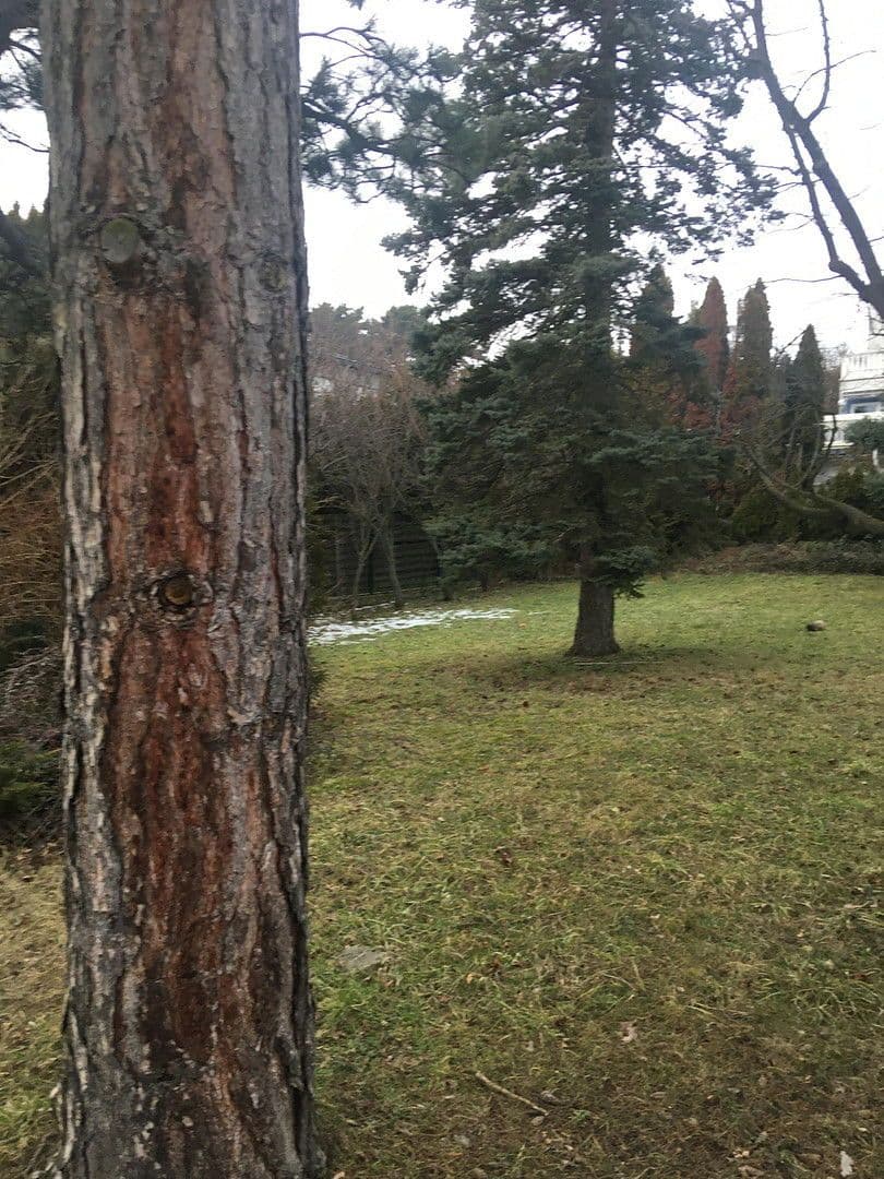 Predaj pozemku 1.000 m², Dreisteinstrasse 53, Gießhübl, Dolné Rakúsko Predaj pozemku 1.000 m², Dreisteinstrasse 53, Gießhübl, Dolné Rakúsko