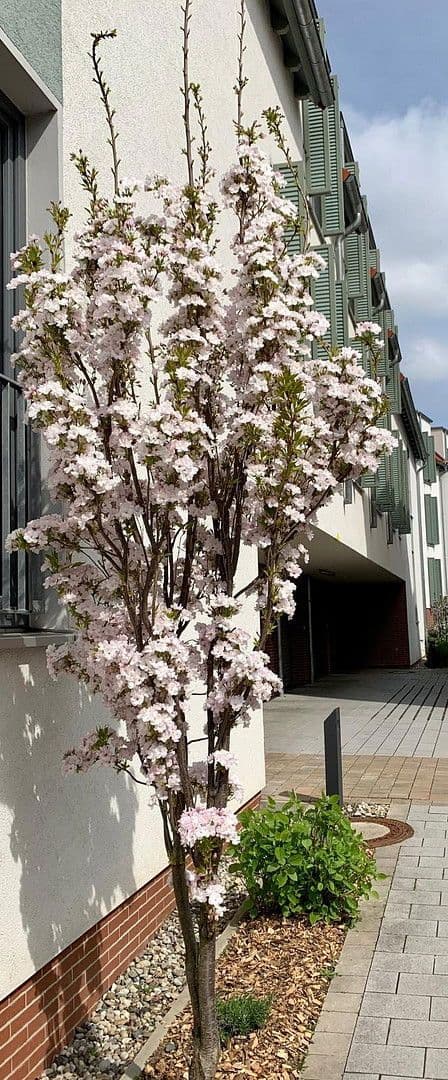 Predaj bytu 3-izbový 76 m², Frankfurt / Kalbach-Rieberg, Hesensko Predaj bytu 3-izbový 76 m², Frankfurt / Kalbach-Rieberg, Hesensko