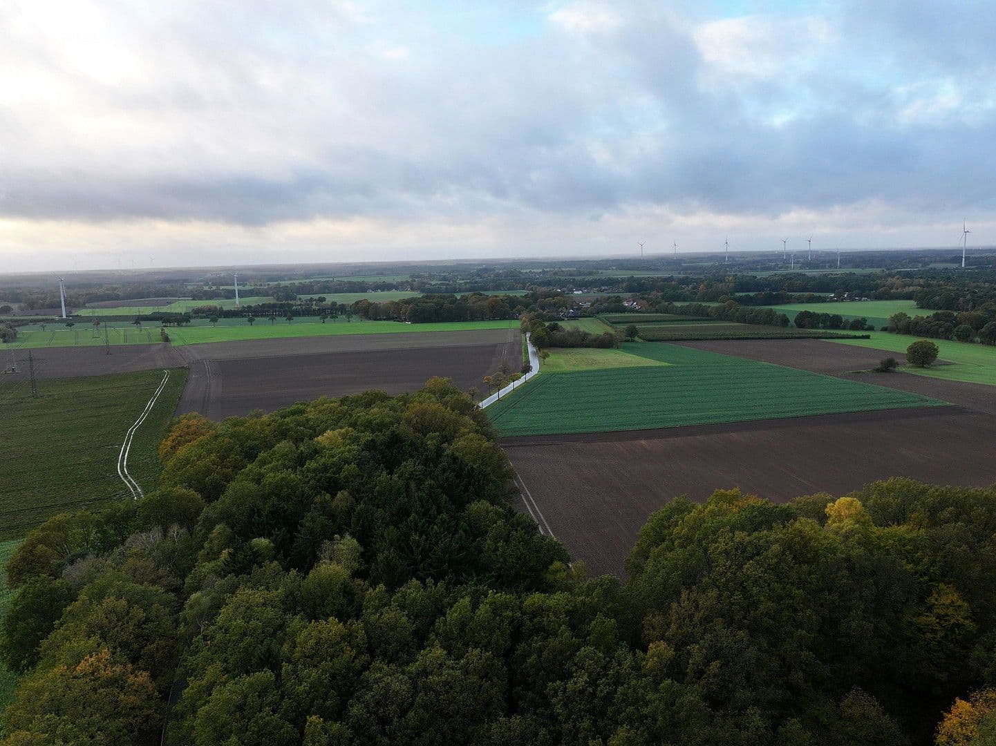 Predaj domu 150 m², pozemek 4.169 m², Neu Wulmstorf, Dolné Sasko Predaj domu 150 m², pozemek 4.169 m², Neu Wulmstorf, Dolné Sasko