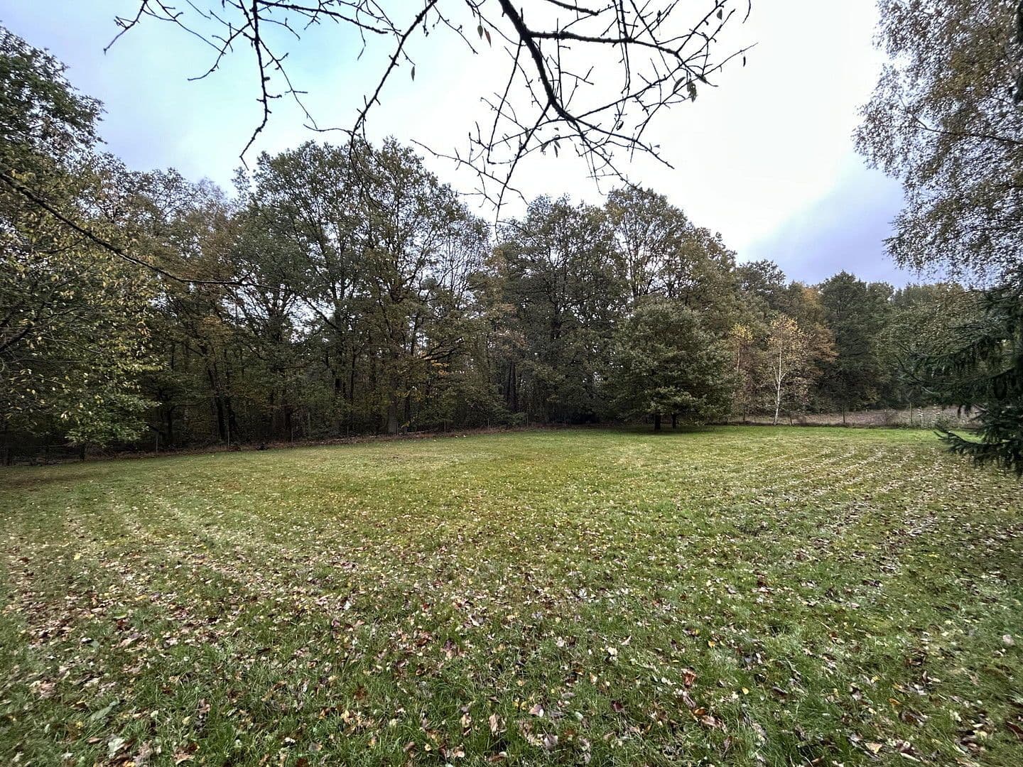 Predaj domu 150 m², pozemek 4.169 m², Neu Wulmstorf, Dolné Sasko Predaj domu 150 m², pozemek 4.169 m², Neu Wulmstorf, Dolné Sasko