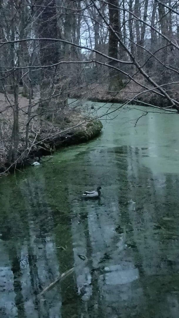 Predaj bytu 4-izbový 84 m², Schloßstraße 3, Troisdorf, Severné Porýnie - Westfálsko Predaj bytu 4-izbový 84 m², Schloßstraße 3, Troisdorf, Severné Porýnie - Westfálsko