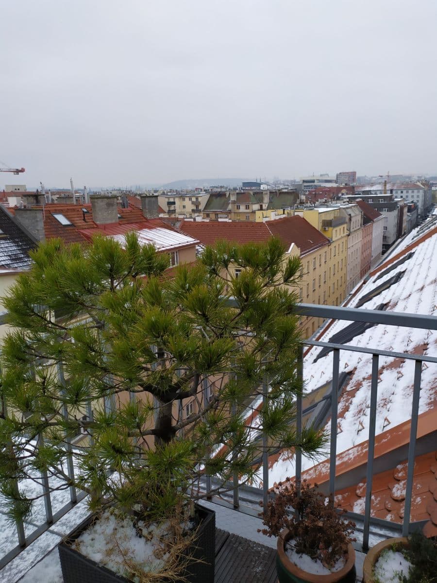 Prenájom bytu 2-izbový 58 m², Přístavní, Praha, Praha Prenájom bytu 2-izbový 58 m², Přístavní, Praha, Praha