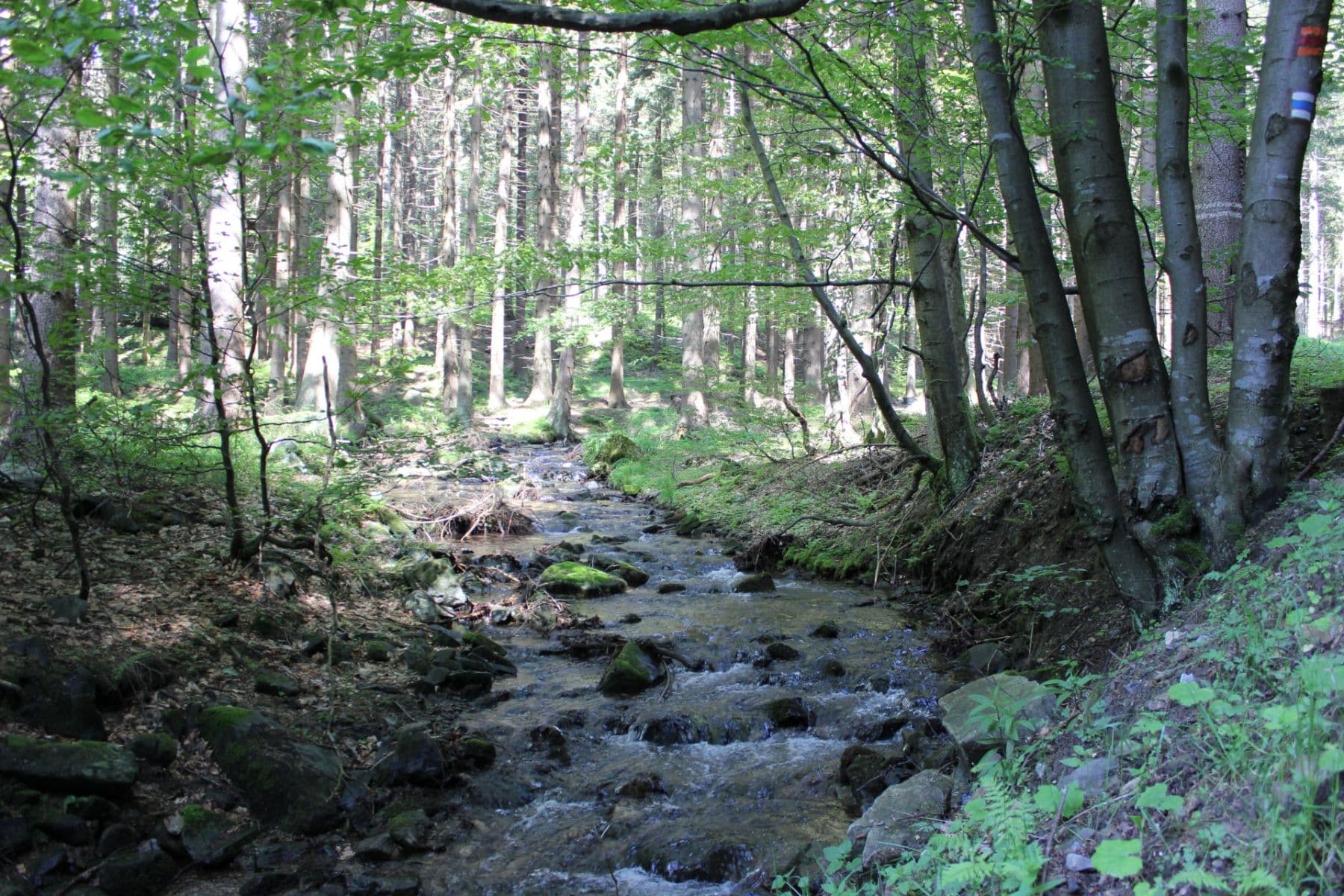 Predaj bytu 2-izbový 52 m², Lipová-lázně, Olomoucký kraj Predaj bytu 2-izbový 52 m², Lipová-lázně, Olomoucký kraj