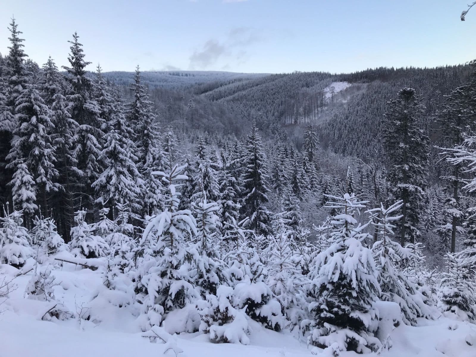 Predaj bytu 2-izbový 52 m², Lipová-lázně, Olomoucký kraj Predaj bytu 2-izbový 52 m², Lipová-lázně, Olomoucký kraj