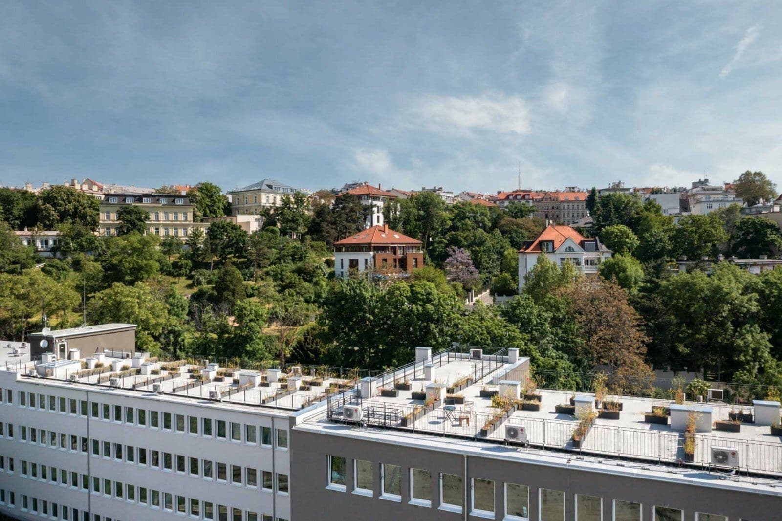 Prenájom bytu 2-izbový 37 m², Perucká, Praha, Praha Prenájom bytu 2-izbový 37 m², Perucká, Praha, Praha