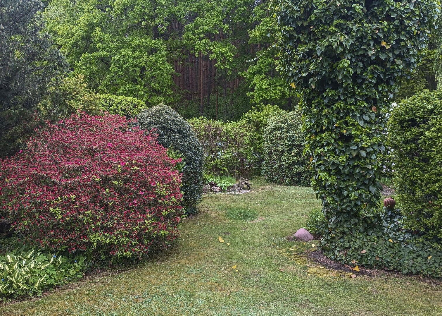 Predaj domu 35 m², pozemek 315 m², Fichtenweg 9, Niesky, Sasko Predaj domu 35 m², pozemek 315 m², Fichtenweg 9, Niesky, Sasko