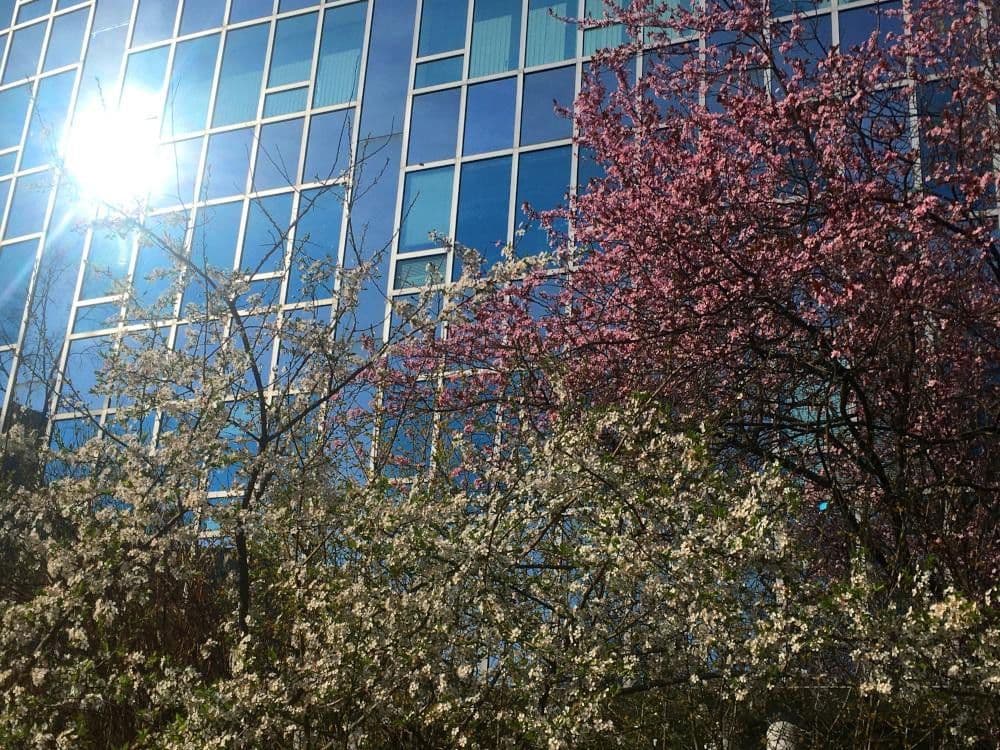 Predaj bytu 6-izbový 202 m², Berlin, Berlín Predaj bytu 6-izbový 202 m², Berlin, Berlín