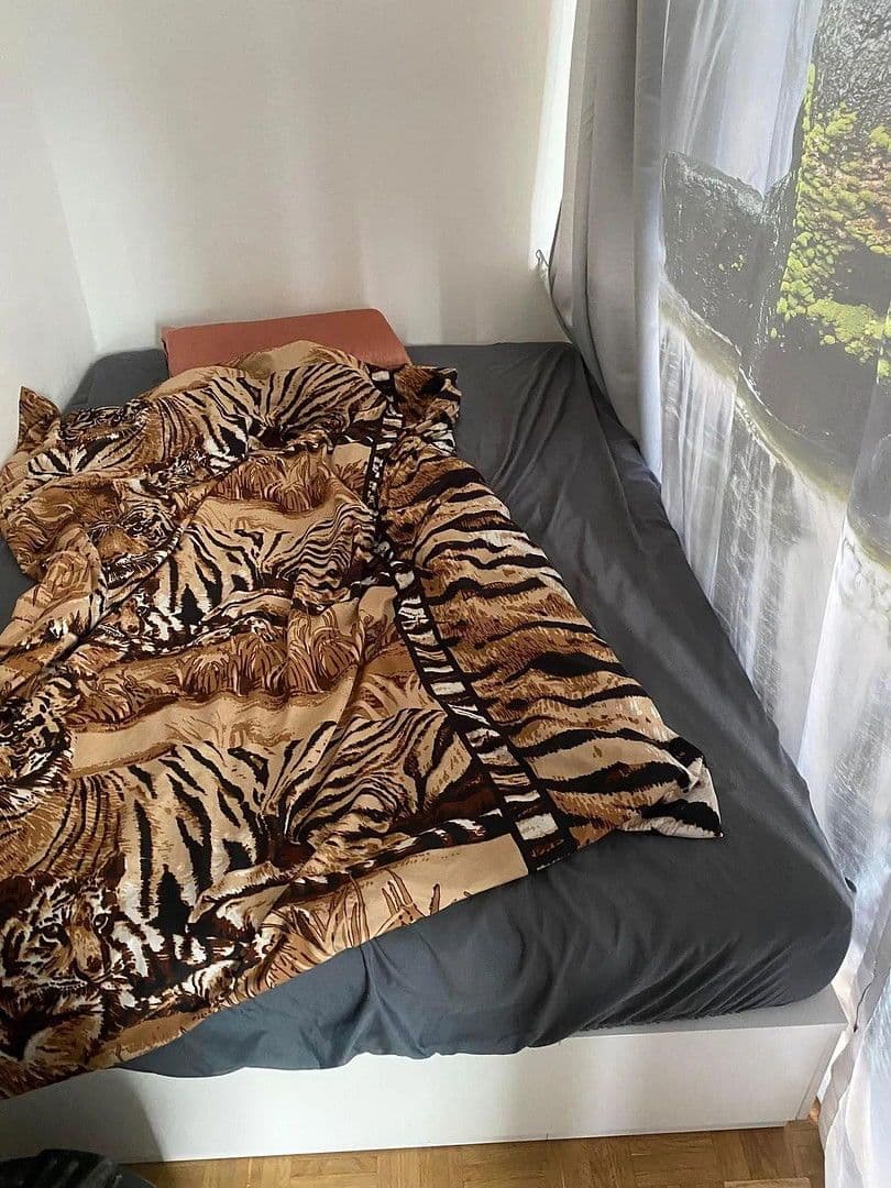 Predaj bytu 1-izbový 37 m², Kremplstraße, Linz, Horné Rakúsko Predaj bytu 1-izbový 37 m², Kremplstraße, Linz, Horné Rakúsko