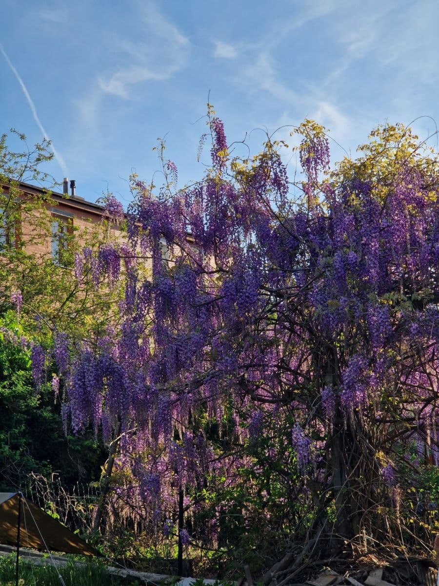 Prenájom domu 64 m², pozemek 200 m², Na Vyhlídce, Zlín, Zlínský kraj Prenájom domu 64 m², pozemek 200 m², Na Vyhlídce, Zlín, Zlínský kraj