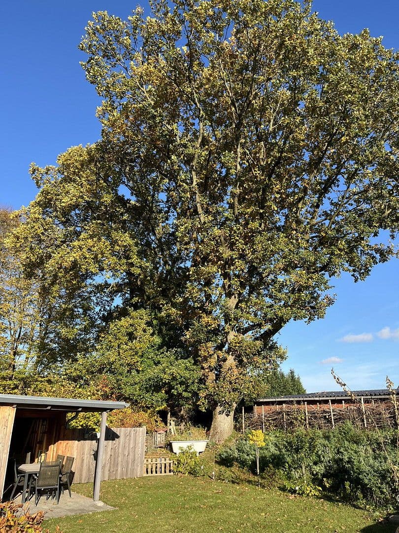 Predaj domu 146 m², pozemek 815 m², Tellingstedt, Šlezvicko-Holštajnsko Predaj domu 146 m², pozemek 815 m², Tellingstedt, Šlezvicko-Holštajnsko