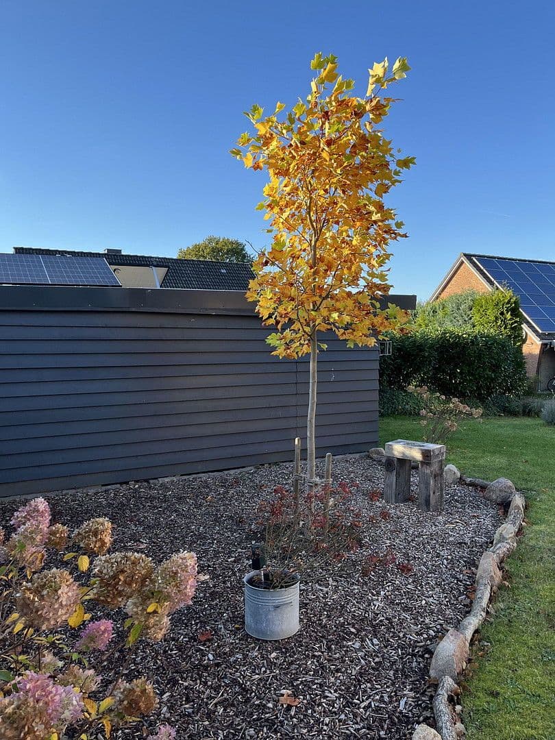 Predaj domu 146 m², pozemek 815 m², Tellingstedt, Šlezvicko-Holštajnsko Predaj domu 146 m², pozemek 815 m², Tellingstedt, Šlezvicko-Holštajnsko