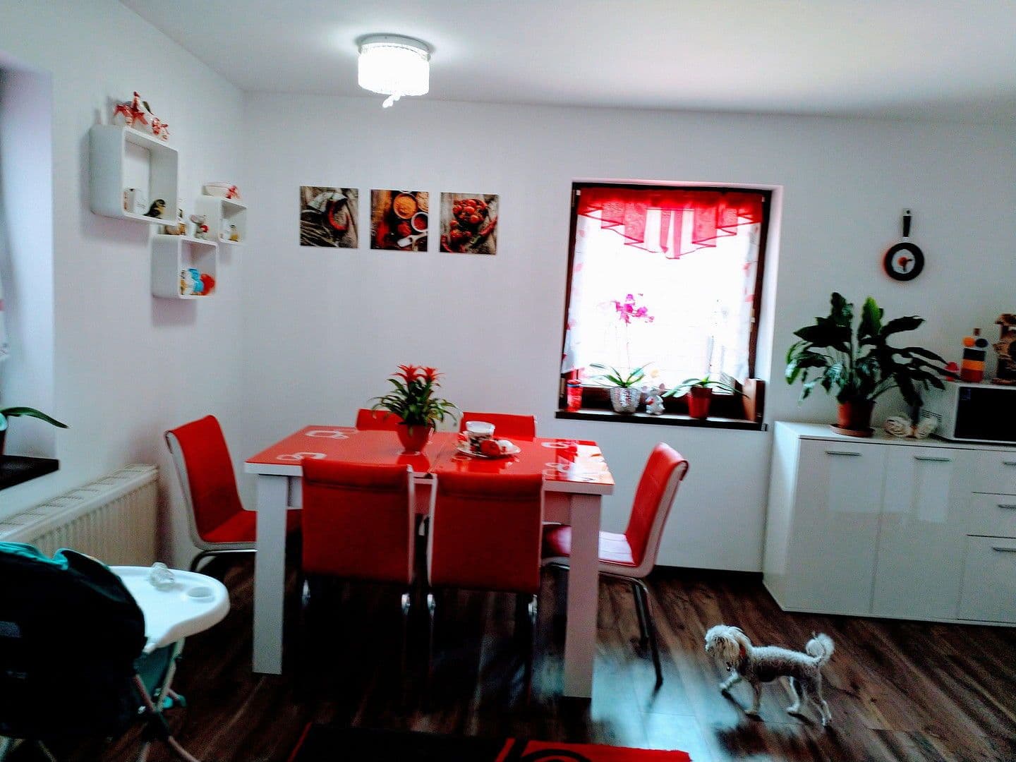 Predaj domu 150 m², pozemek 580 m², Hadersdorferweg 3, Altheim, Horné Rakúsko Predaj domu 150 m², pozemek 580 m², Hadersdorferweg 3, Altheim, Horné Rakúsko