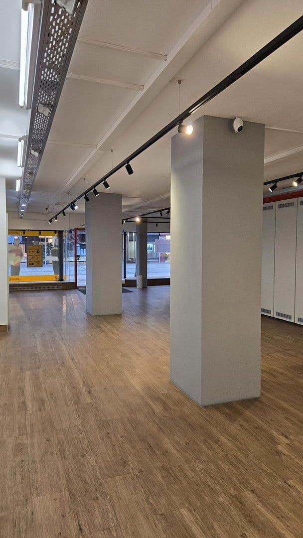 Prenájom nebytového priestoru 310 m², Scheffelstraße 5, Singen (Hohentwiel), Bádensko-Wurttembersko Prenájom nebytového priestoru 310 m², Scheffelstraße 5, Singen (Hohentwiel), Bádensko-Wurttembersko