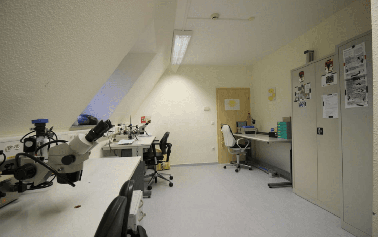 Predaj kancelárie 739 m², Dönseler Straße 4, Dickel, Dolné Sasko Predaj kancelárie 739 m², Dönseler Straße 4, Dickel, Dolné Sasko