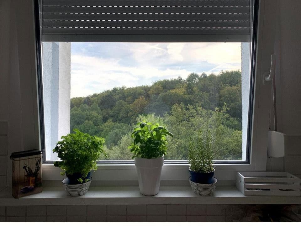 Prenájom bytu 3-izbový 91 m², Eppstein, Hesensko Prenájom bytu 3-izbový 91 m², Eppstein, Hesensko